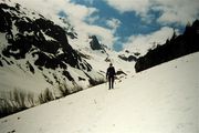 Alps, May 1999
