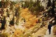 California 1992