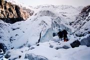 Alps 1993
