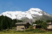 Alps 2006