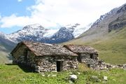 Alps 2007