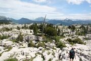 Alps 2008