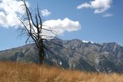 Alps 2012