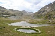 Alps 2012