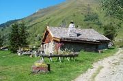 Alps 2001