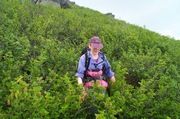 Corsica 2003