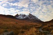 The Cobbler 2012