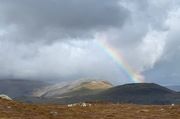 Glenshee 2020