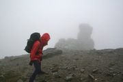 The Cobbler 2007