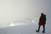 The Cobbler 2013