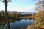 Glen Garry 2014