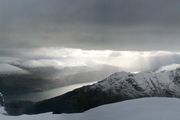 The Cobbler 2017