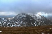The Cobbler2013